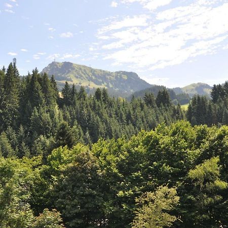 Appartement Kitzbuehel Mit Dachterrasse エクステリア 写真