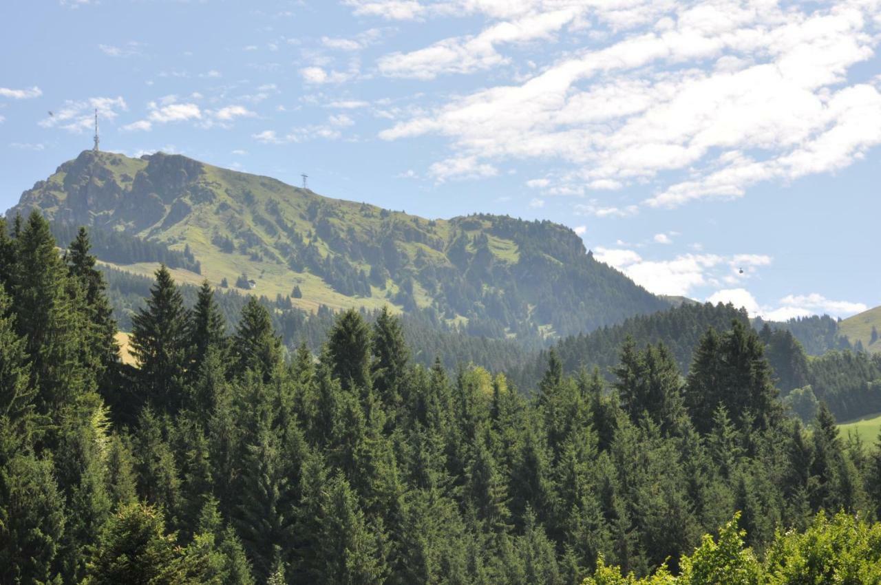 Appartement Kitzbuehel Mit Dachterrasse エクステリア 写真